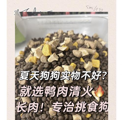 为什么狗狗不能以谷物为主食？（探究狗狗不能以谷物为主食的原因）