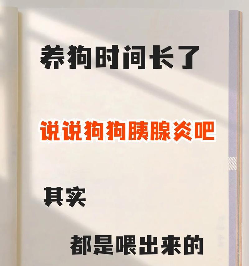 狗胰腺炎治疗后的注意事项（宠物健康，关注胰腺）