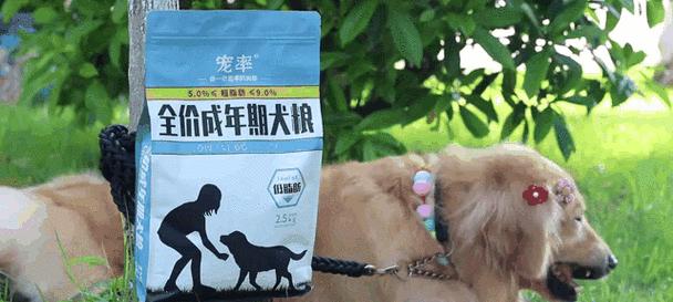 如何选择价格便宜又好看的狗？（经济实惠又可爱，你该买什么狗？）