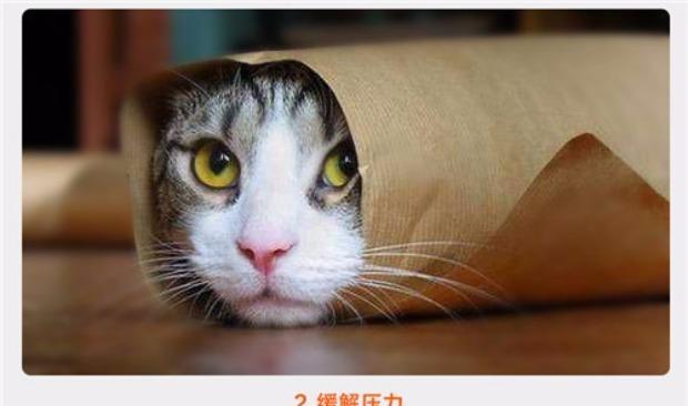 燕麦草的主要食用动物（哪些动物以燕麦草为主食？）