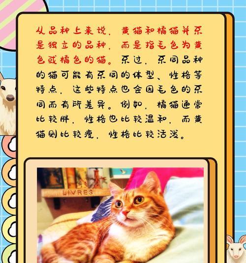 猫毛为什么会变黄？（探究猫毛变黄的原因及预防方法）