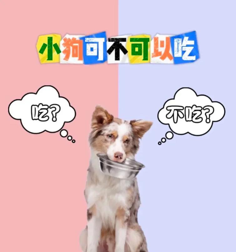 狗狗的营养需求（狗狗营养需求全解析，探索它们的健康饮食世界）