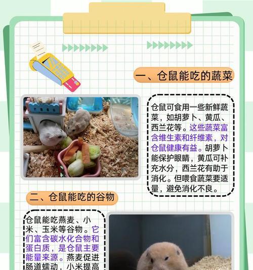 以仓鼠为宠物的饮食禁忌（小心！这些食物对仓鼠有害）