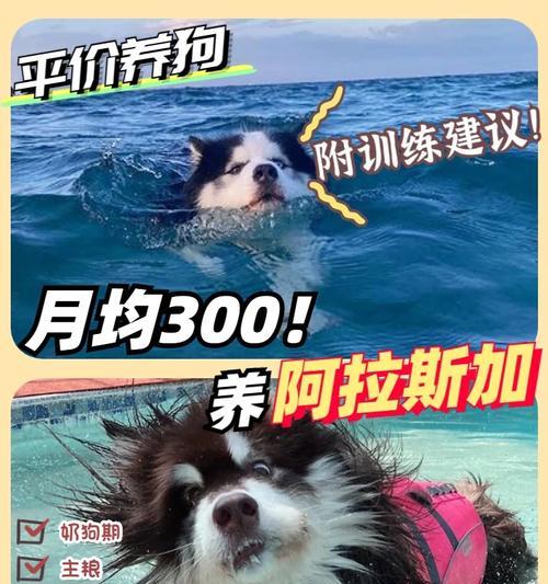 探秘阿拉斯加的壮丽之美（冰川、野生动物与自然奇观）
