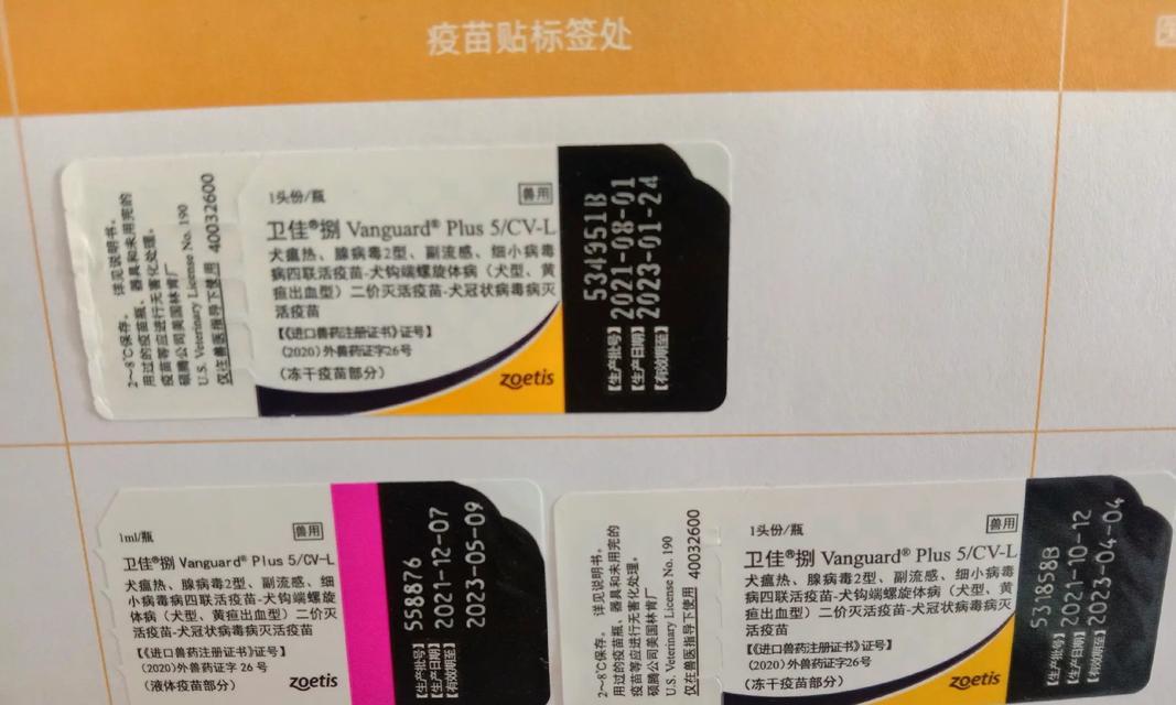 宠物国产疫苗——保护你的毛孩健康的首选（选择国产疫苗的关键原因与发展前景）