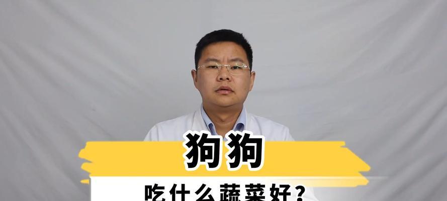 狗狗骨折应如何合理饮食？（狗狗骨折需要特殊饮食，为恢复提供支持）