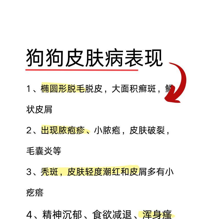 狗狗得皮肤病的原因及预防措施（探究狗狗皮肤病的成因，了解如何预防）