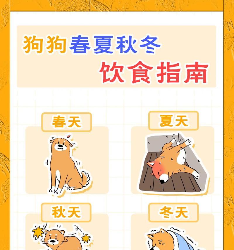 月龄为一的狗狗应该吃什么？（营养均衡的饮食对狗狗成长至关重要）