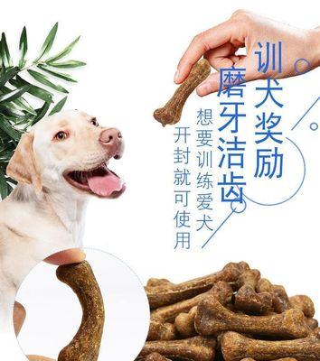 如何选择适合3个月大泰迪磨牙的玩具？（挑选宝宝牙床时需注意的关键因素有哪些？）
