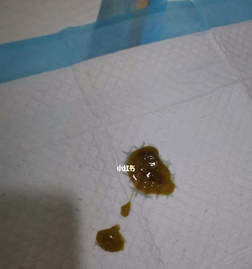 幼犬拉软便怎么办？有效的药物治疗方法（药物治疗）