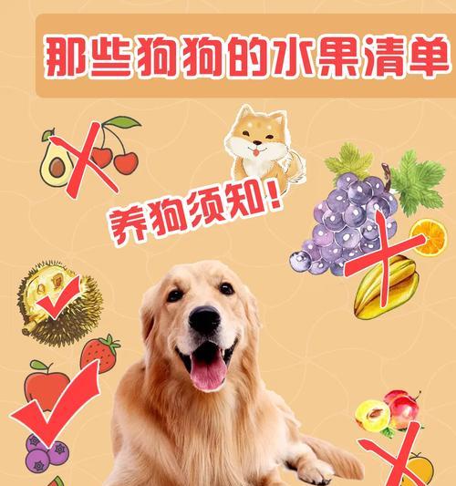 狗狗吃西瓜的好处与坏处（探索西瓜对狗狗健康的影响）