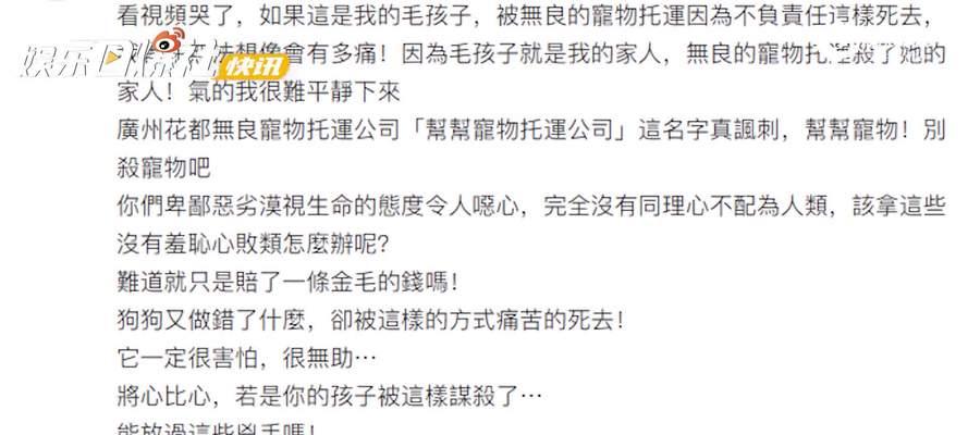 宠物狗托运的安全隐患（以宠物狗托运为例，探讨托运过程中可能导致死亡的原因及如何预防）