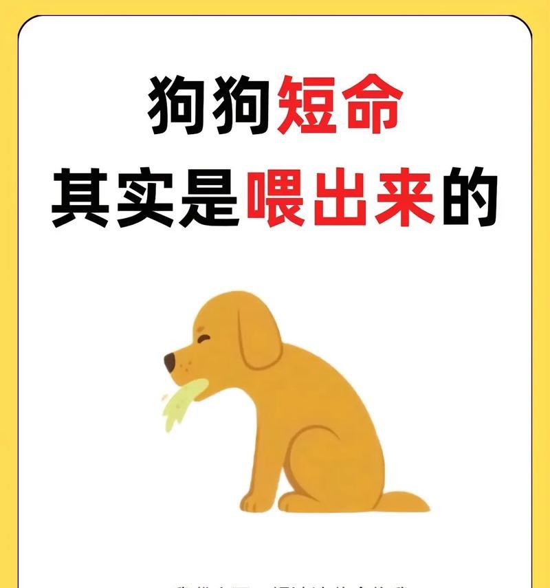 狗生前的准备和饮食禁忌（为宠物狗的到来做好准备，让它吃得健康快乐）