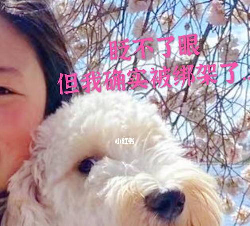 揭秘狗狗精子的奇妙世界（一窥狗狗精子的形态与特征）
