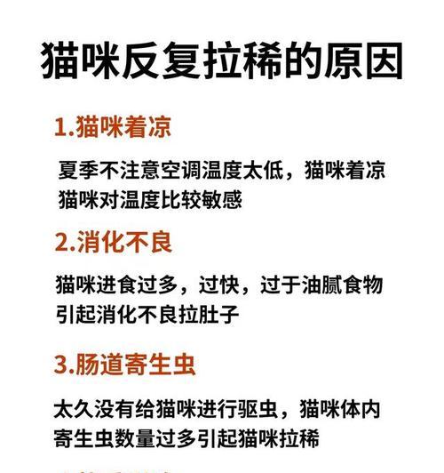 猫咪拉稀、没食欲和呕吐的原因及治疗方法