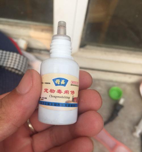 宠物狗尿液发黄的原因及解决方法（狗狗尿液黄色是怎么回事？了解一下原因及如何处理）