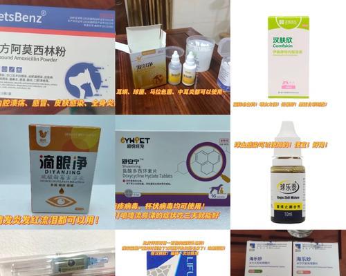 以猫治疗球虫的有效药物选择（选择合适的药物治疗猫球虫感染，提供安全和有效的解决方案）
