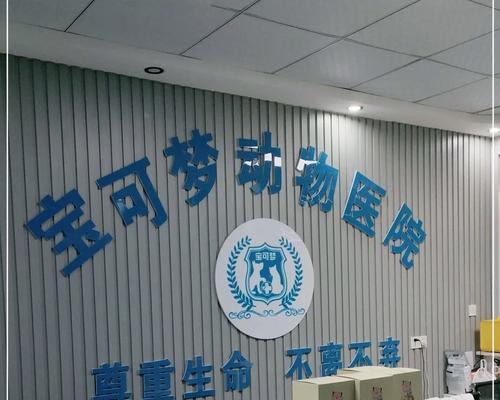 以狗狗挂白为什么不好？（探讨狗主人不宜使用以狗狗挂白的原因）