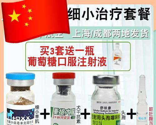 狗狗感染细小该吃什么药？（探索有效的细小治疗方法及）