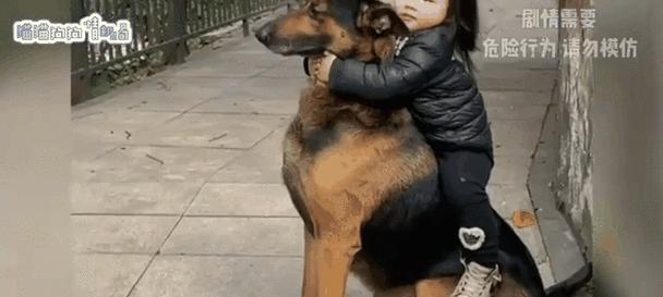 狗狗带崽的常见症状及处理方法（探索狗狗生育后可能出现的健康问题与解决方案）
