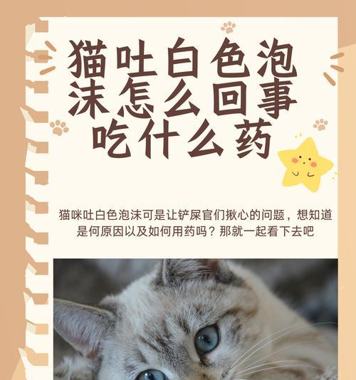 猫为何持续拒食？（揭开猫咪拒食的奥秘，如何解决这个问题？）