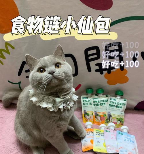 小猫两个月大该喝什么奶？（为你详解幼猫喂养的奶类选择和注意事项）