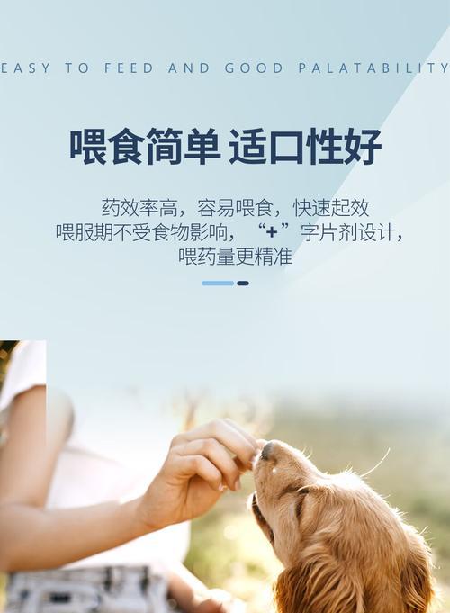 冷天狗咳嗽，适合用什么药？（细数能有效缓解狗咳嗽的药物）