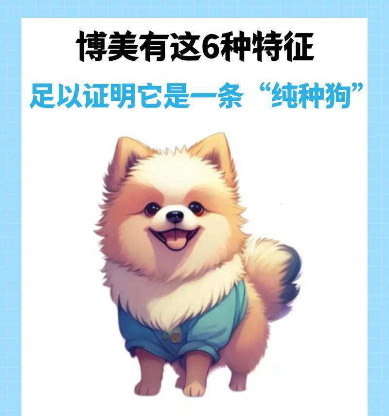 《博美京巴的成长记忆》（以博美京巴串长大的故事）