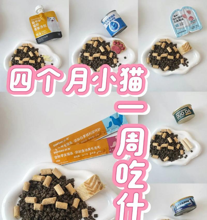 刚出生的猫吃什么？（合理饮食对新生猫咪的成长至关重要）