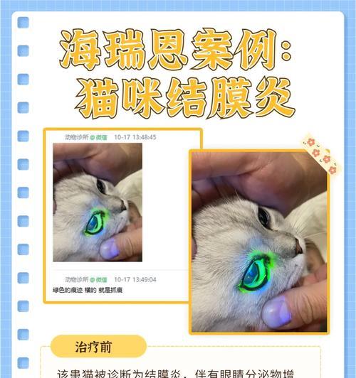 治疗猫咪结膜炎的有效药物（选择正确的眼药水是关键）