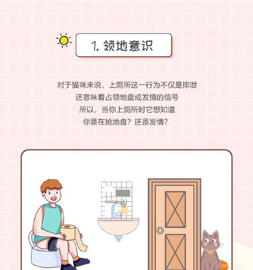 揭秘猫咪上完厕所的奥秘（为什么猫咪喜欢上完厕所后在沙发上打滚？）