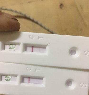 狗狗试纸验是什么？（了解狗狗健康的利器）
