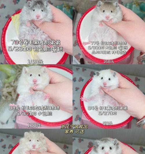 女生少张毛的健康饮食秘诀（探索女性养生之道，从饮食做起）