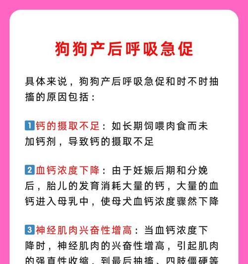 狗狗心跳加速、呼吸急促和发抖的原因分析（探究狗狗心理和生理状态的关键因素）
