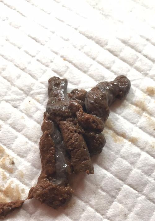 小狗拉什么粑粑正常吗？（探索小狗粪便的种类和健康状况）