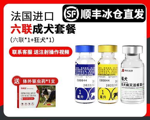 宠物狗常见传染病及预防措施（保护你的狗狗免受传染病困扰）