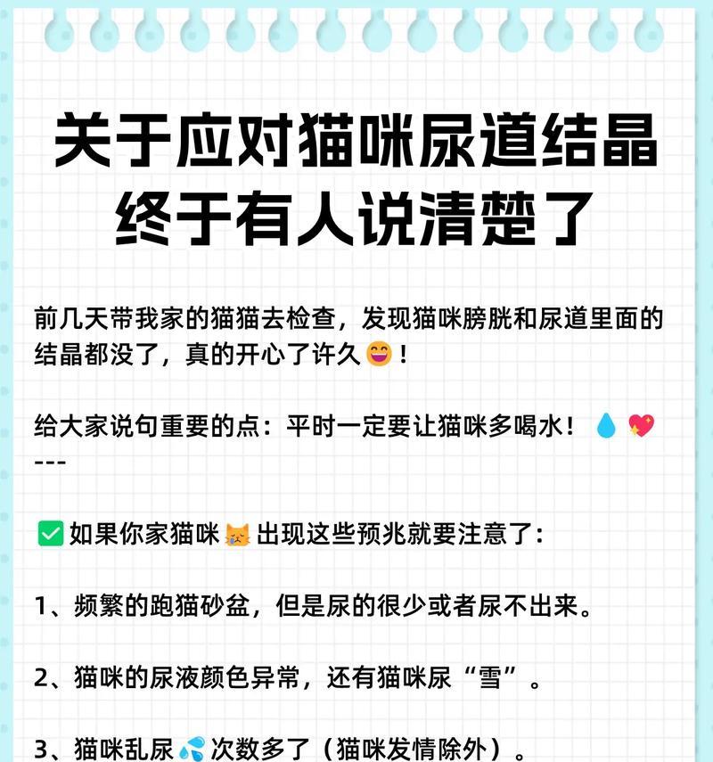 猫咪为何会随地小便？（探究猫咪随地小便的原因及解决方法）