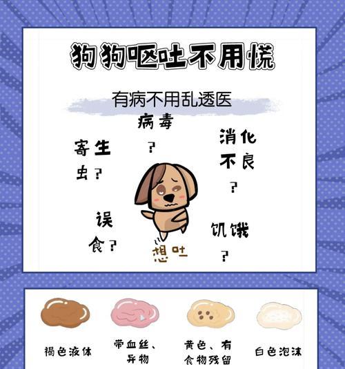 狗吃东西吐的原因及解决办法（揭秘狗吐的原因，）