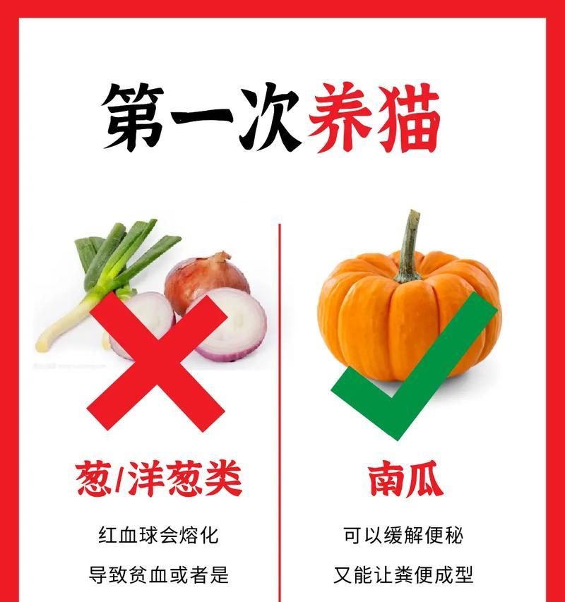 两个多月的猫宝宝的饮食需求（给你的小猫提供适宜的饮食，让它健康成长）