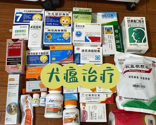犬瘟治疗药物选择的关键（探讨以犬瘟治疗中的首要药物选择及其重要性）