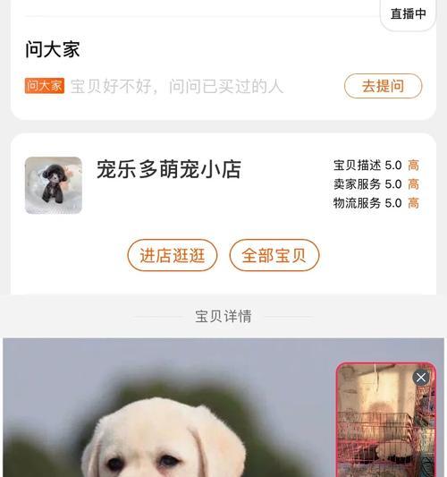 购买狗狗的最佳选择（选择信誉和品质的宠物购买网站）