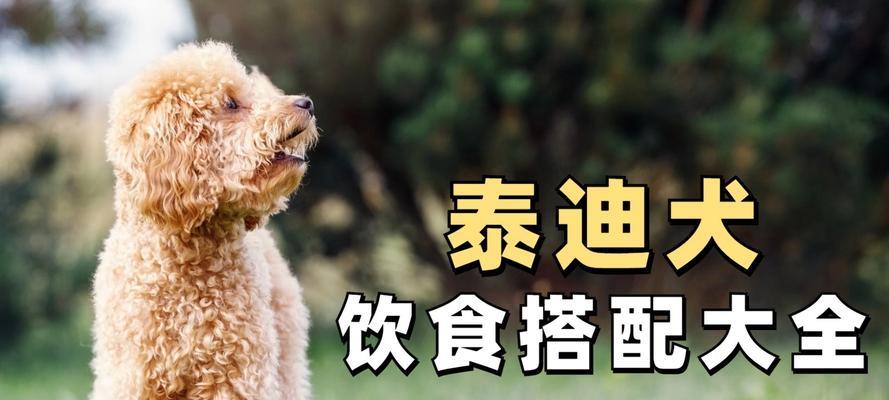 以泰迪一个月可以吃什么水果（丰富泰迪的饮食，让它健康快乐成长）