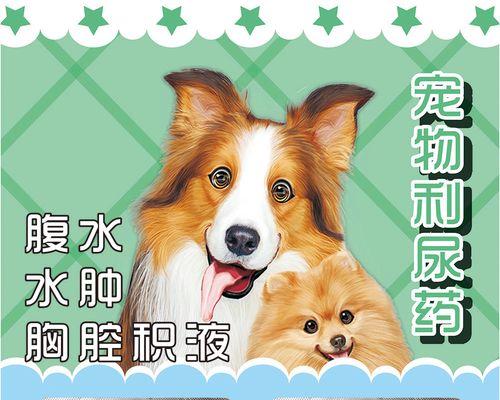 狗狗尿频尿血的原因及治疗方法（解析狗狗尿频尿血的症状、病因和药物治疗）