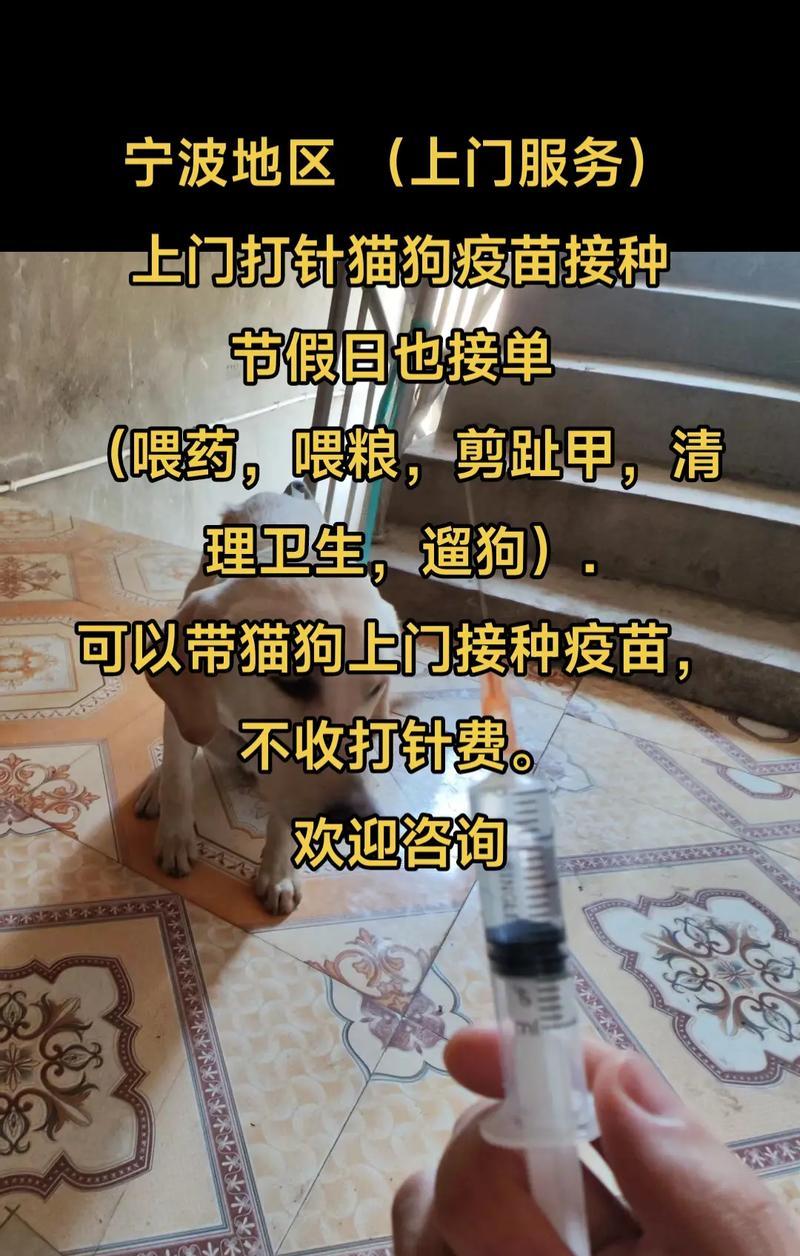 养猫必知（宠物猫打针的时间和种类全解析）