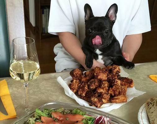 斗牛犬的饮食指南（营养均衡的饮食方案助力健康成长）