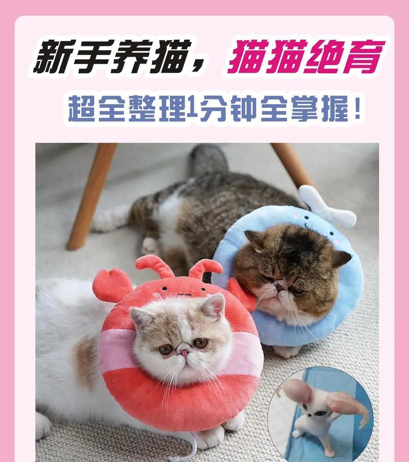 猫咪绝育的重要性（为了它们的健康和福祉）