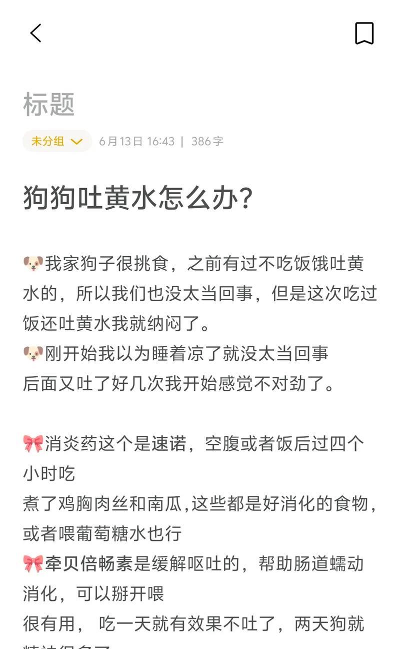 狗夏天呕吐的原因及预防措施（揭开夏季狗狗呕吐的背后原因，助你宠物安全度过夏天）