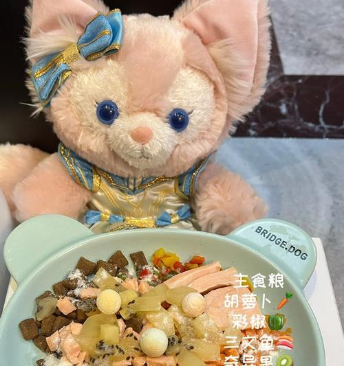 三个月泰迪的进口狗粮喂养指南（为你的宝贝提供最佳的营养和保健）