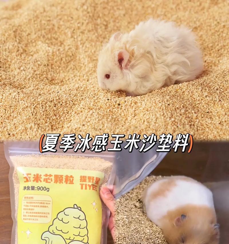 探索仓鼠浴沙的最佳选择（选用何种沙能让仓鼠洗沙更健康？）