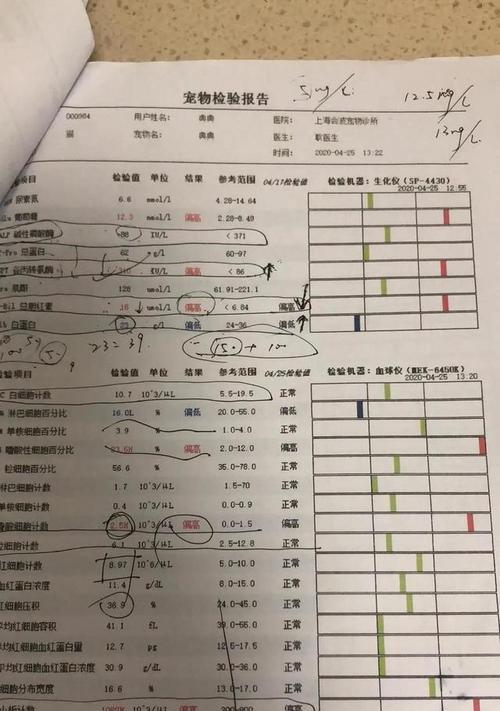 英短拉稀的原因分析（深入探究英短拉稀的成因与解决方案）